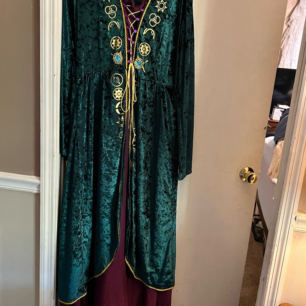 Hocus Pocus Costume